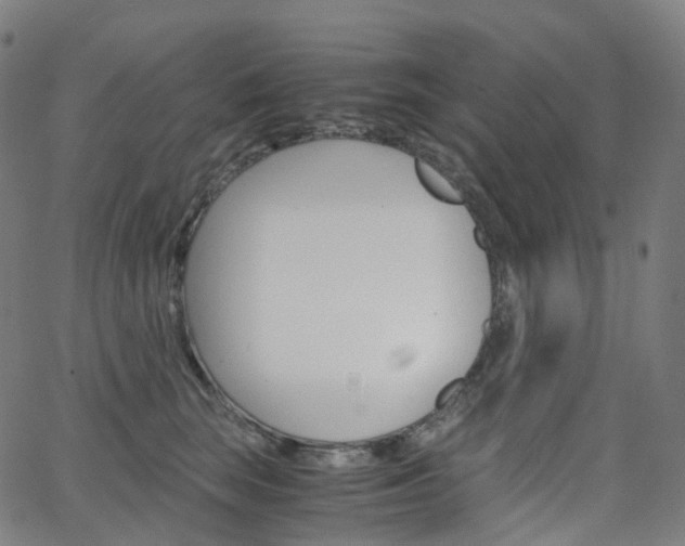 X0000063500663200601201027