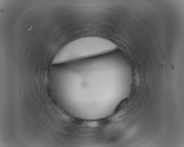 X0000063500665200601201027