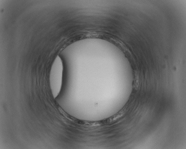 X0000063500667200601201027