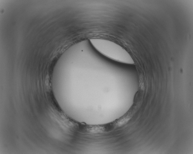 X0000063500670200601201027