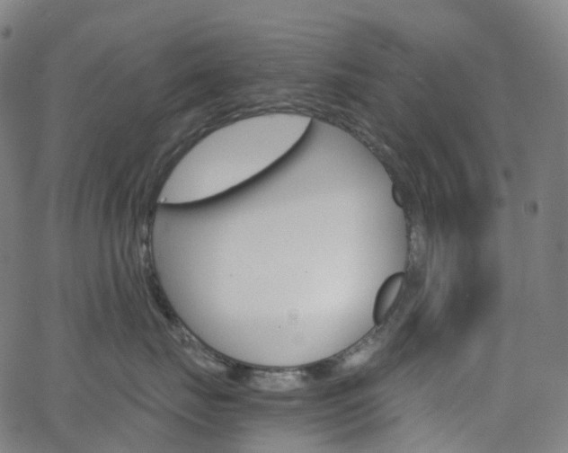 X0000063500671200601201028