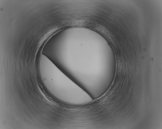X0000063500674200601201027
