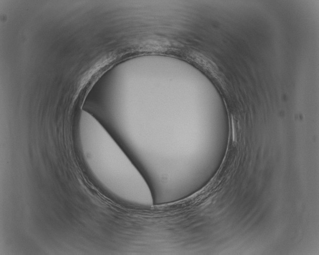 X0000063500675200601201027