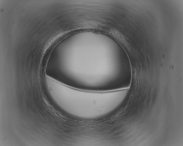 X0000063500676200601201027