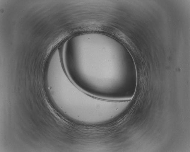 X0000063500677200601201027