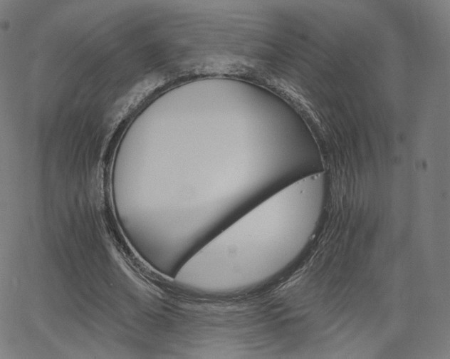 X0000063500678200601201027