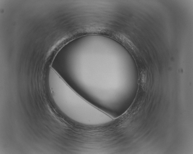 X0000063500684200601201027