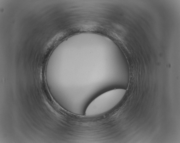 X0000063500686200601201027