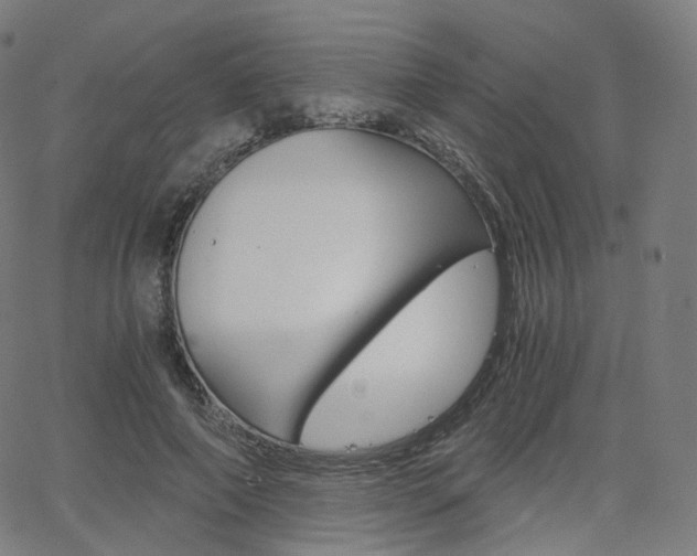 X0000063500690200601201026