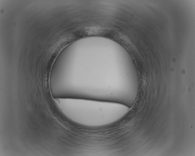 X0000063500691200601201026