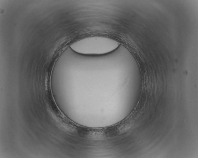 X0000063500694200601201026