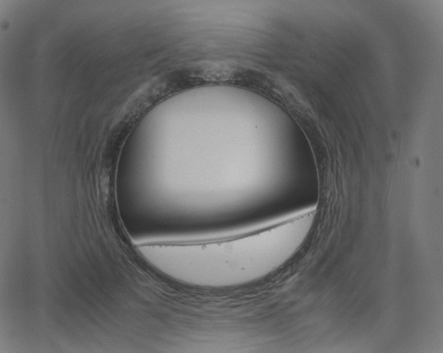 X0000063500697200601201026