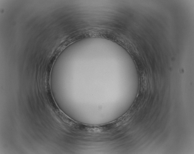 X0000063500698200601201026