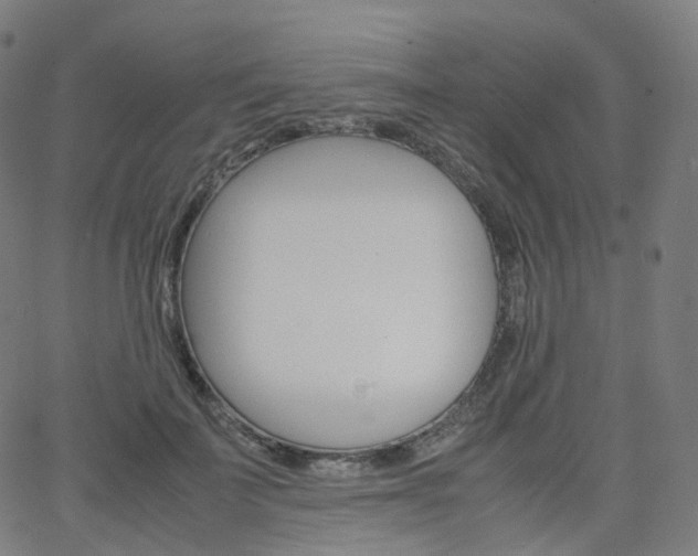 X0000063500699200601201026