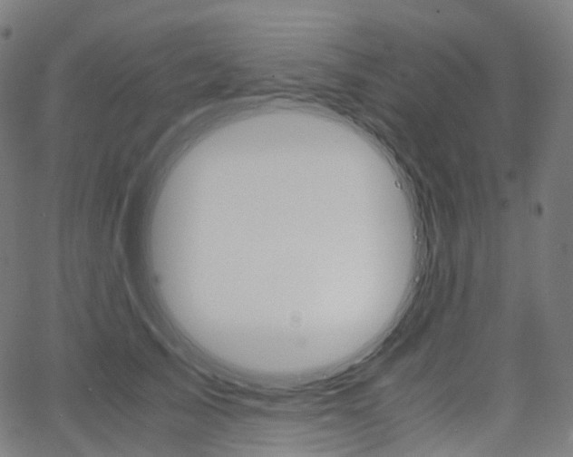 X0000063500705200601201026