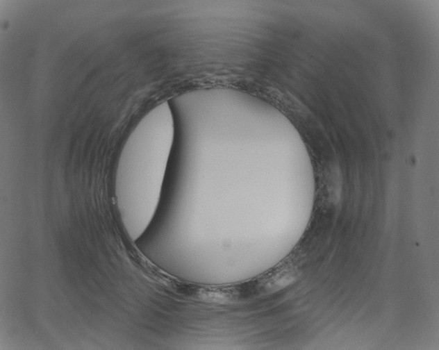 X0000063500706200601201026