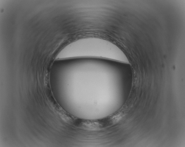 X0000063500712200601201026