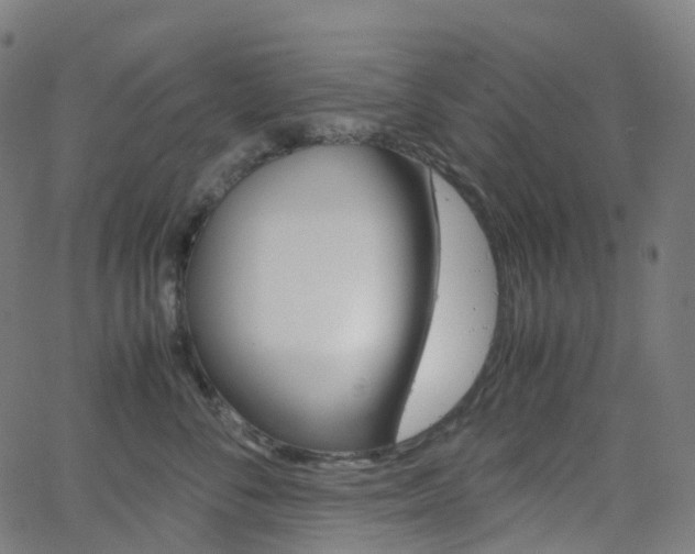 X0000063500716200601201026