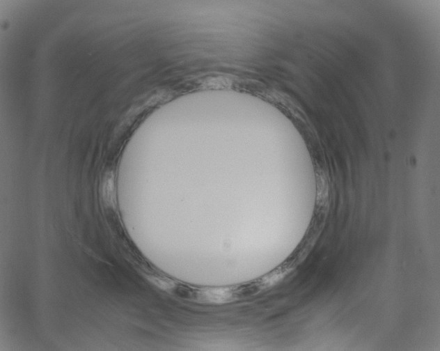 X0000063500717200601201026