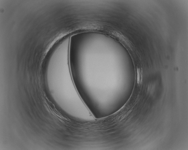 X0000063500723200601201025
