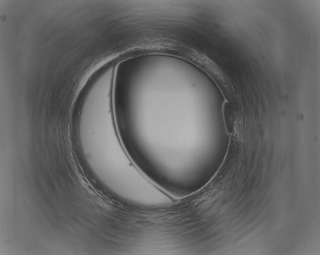 X0000063500724200601201025