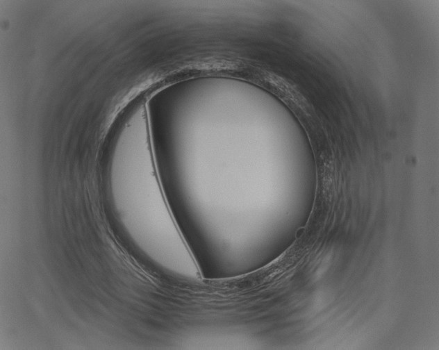 X0000063500727200601201025