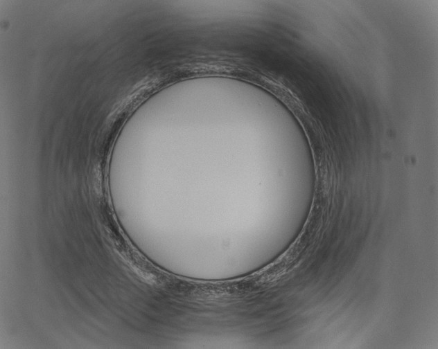 X0000063500729200601201025