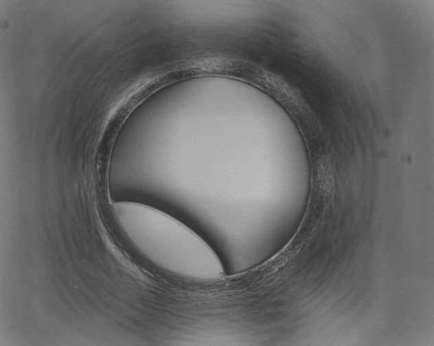X0000063500730200601201025