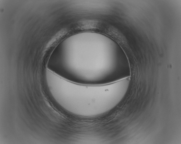 X0000063500732200601201025