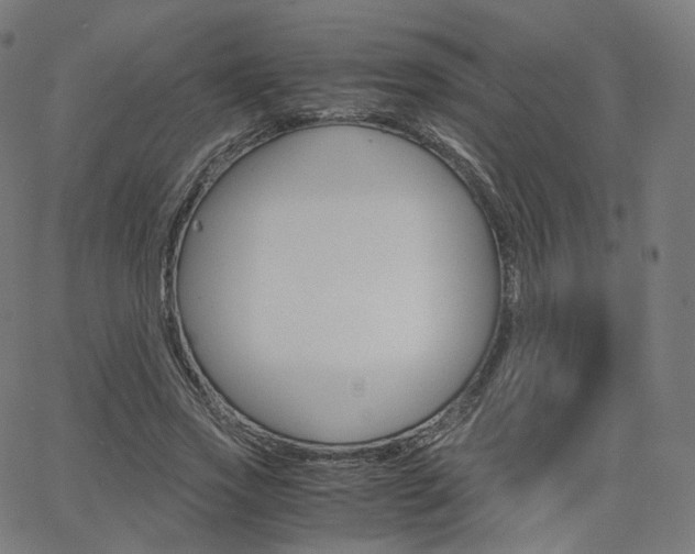 X0000063500733200601201025
