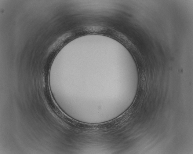 X0000063500734200601201025