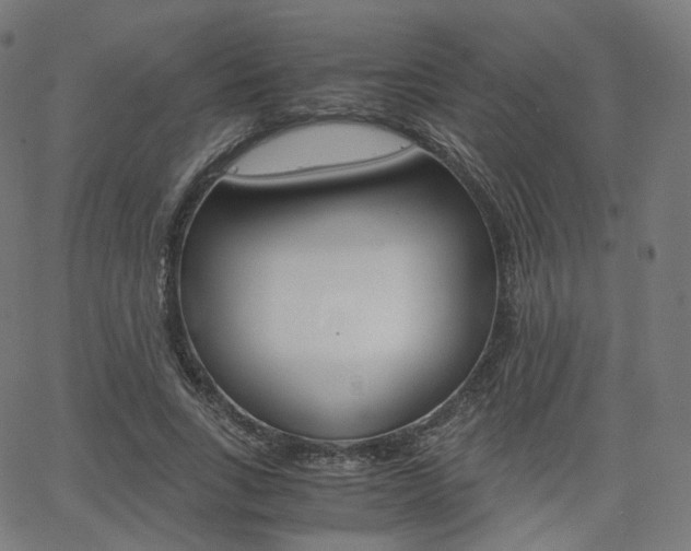 X0000063500735200601201025
