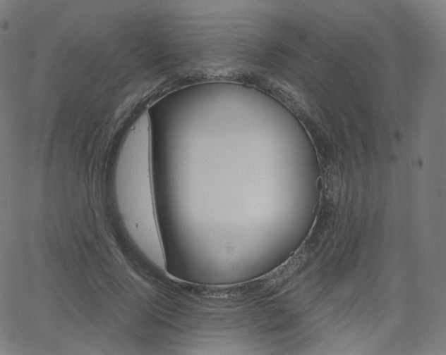X0000063500740200601201025