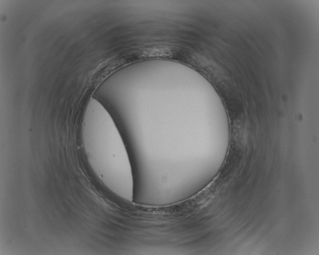 X0000063500741200601201026