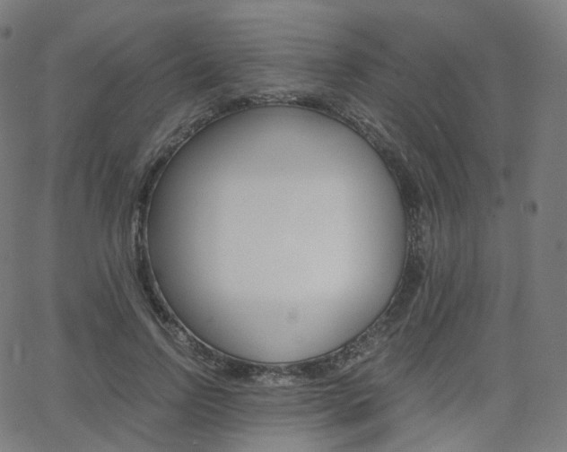 X0000063500742200601201026