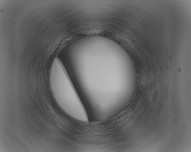X0000063500743200601201026