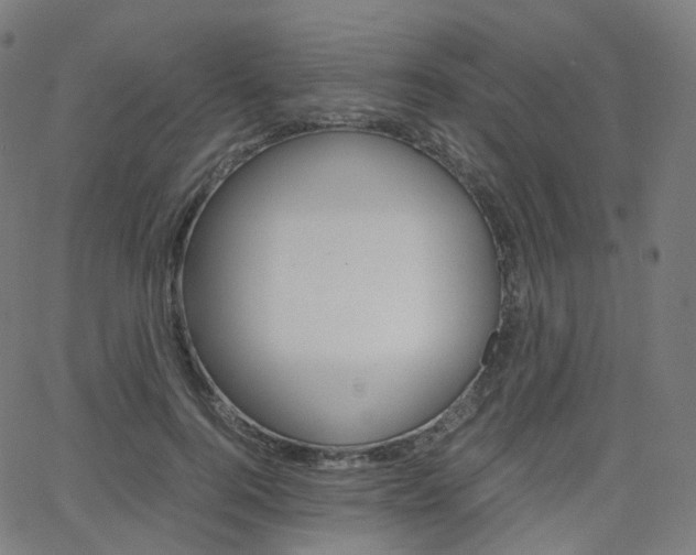 X0000063500744200601201026