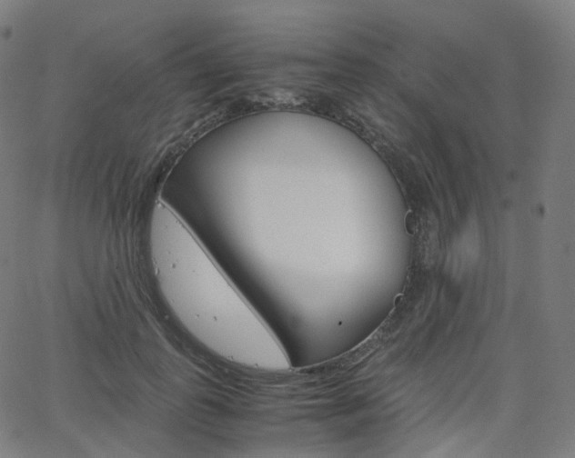 X0000063500747200601201026