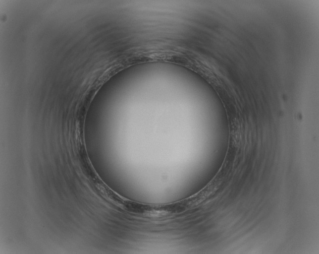 X0000063500748200601201026