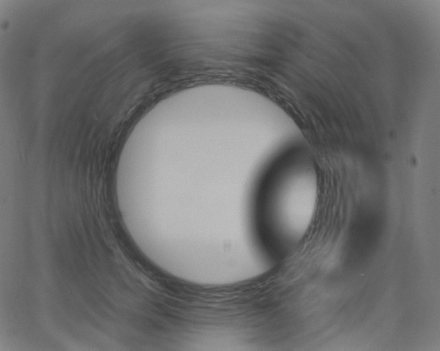 X0000063500750200601201026