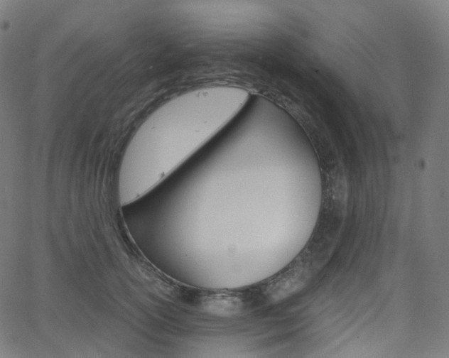 X0000063500754200601201026