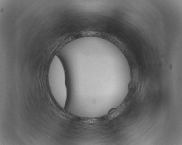 X0000063500761200601201026
