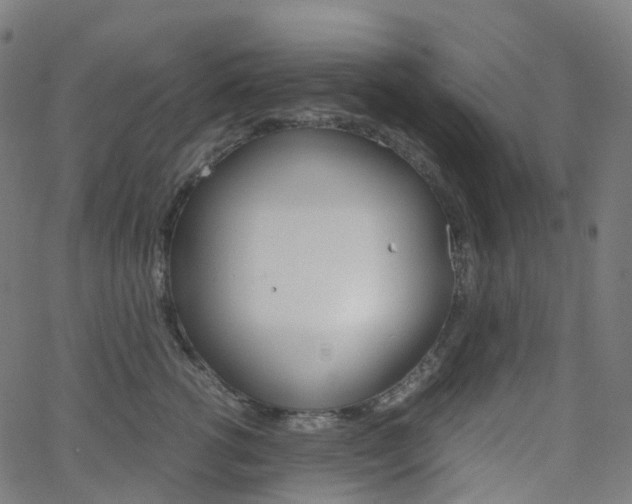 X0000063500762200601201026