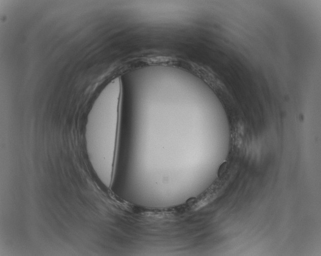 X0000063500763200601201026