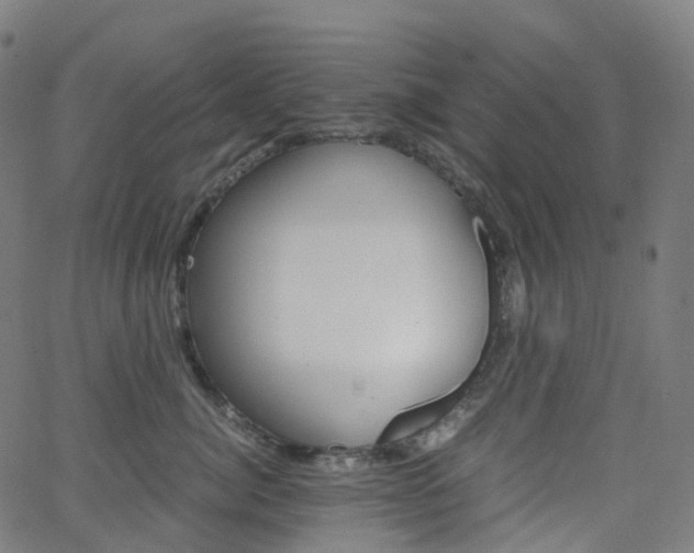 X0000063500764200601201026