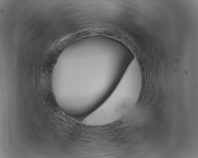 X0000063500773200601201025