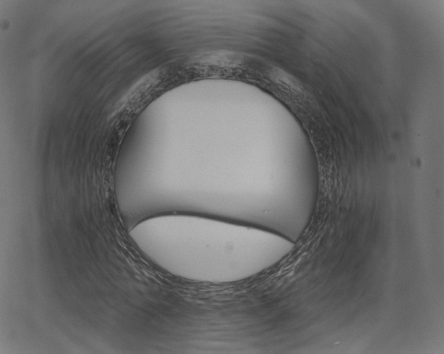 X0000063500774200601201025