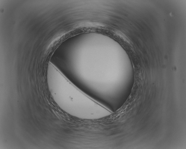 X0000063500775200601201025