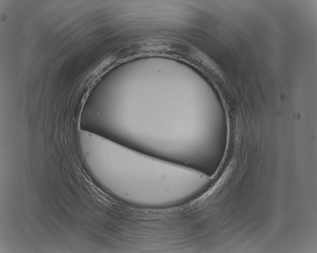 X0000063500777200601201025