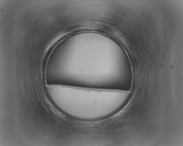 X0000063500779200601201025